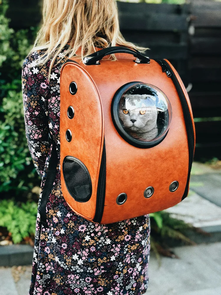 women carrying a cat in bubble window backpack carrier